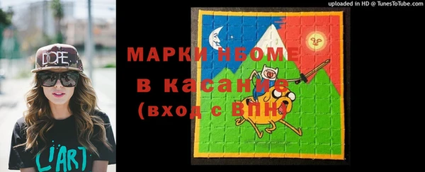 индика Долгопрудный