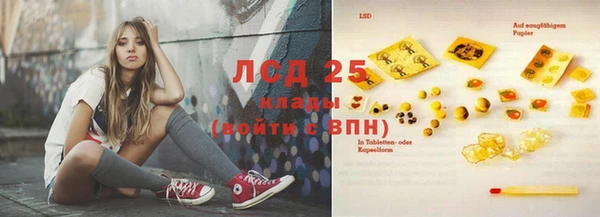 дживик Абинск