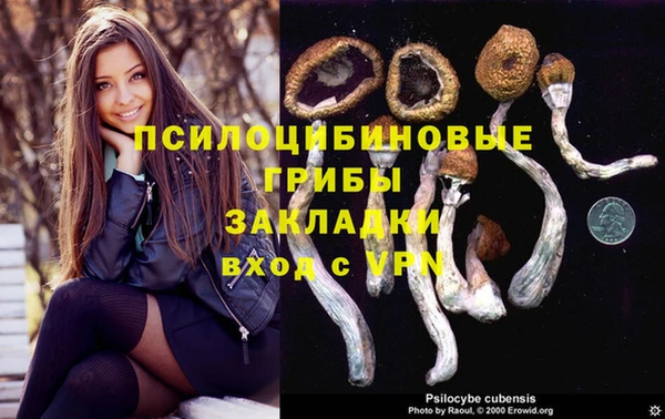 дживик Абинск