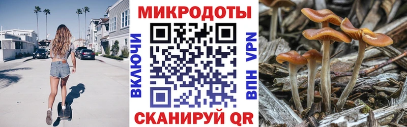 ОМГ ОМГ tor  Юрюзань  Псилоцибиновые грибы GOLDEN TEACHER 
